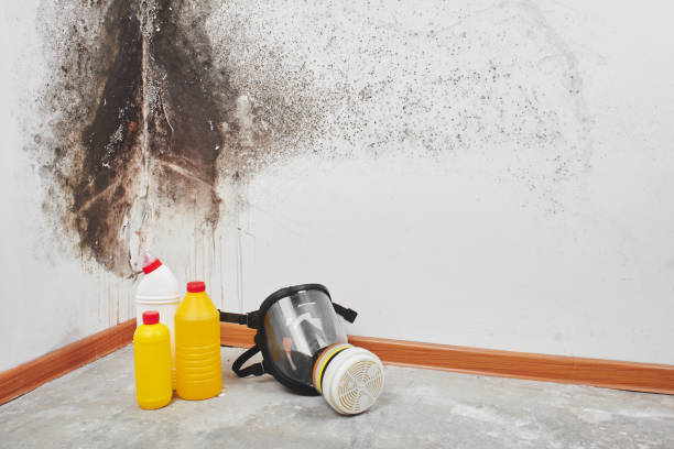 Best Crawl Space Mold Removal  in Fairfield, IL