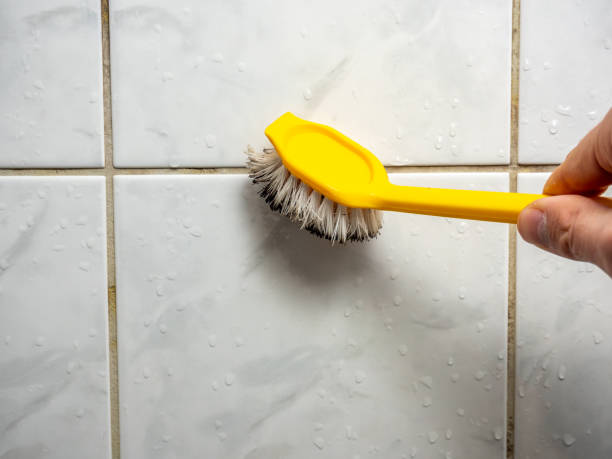 Best Best Mold Removal Companies  in Fairfield, IL