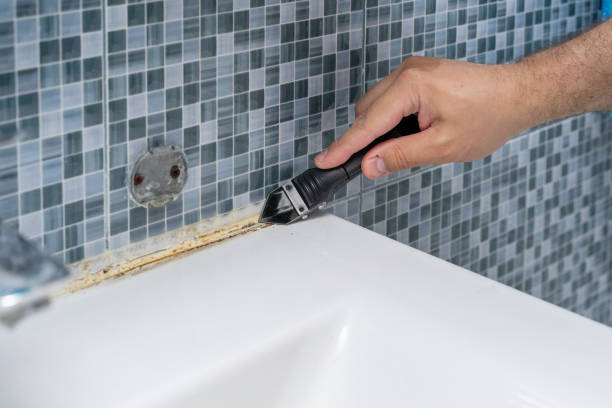 Best Fast Mold Removal  in Fairfield, IL