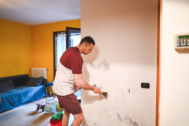 Best Toxic Mold Removal  in Fairfield, IL